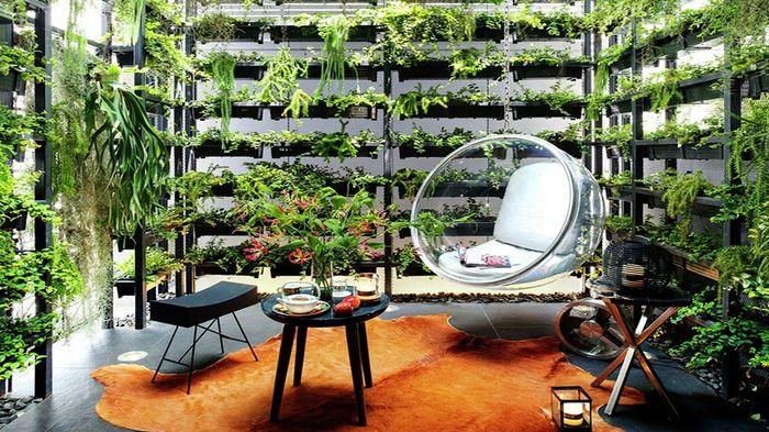  Inspirasi  Taman  Vertikal Sederhana di Dalam  Rumah 